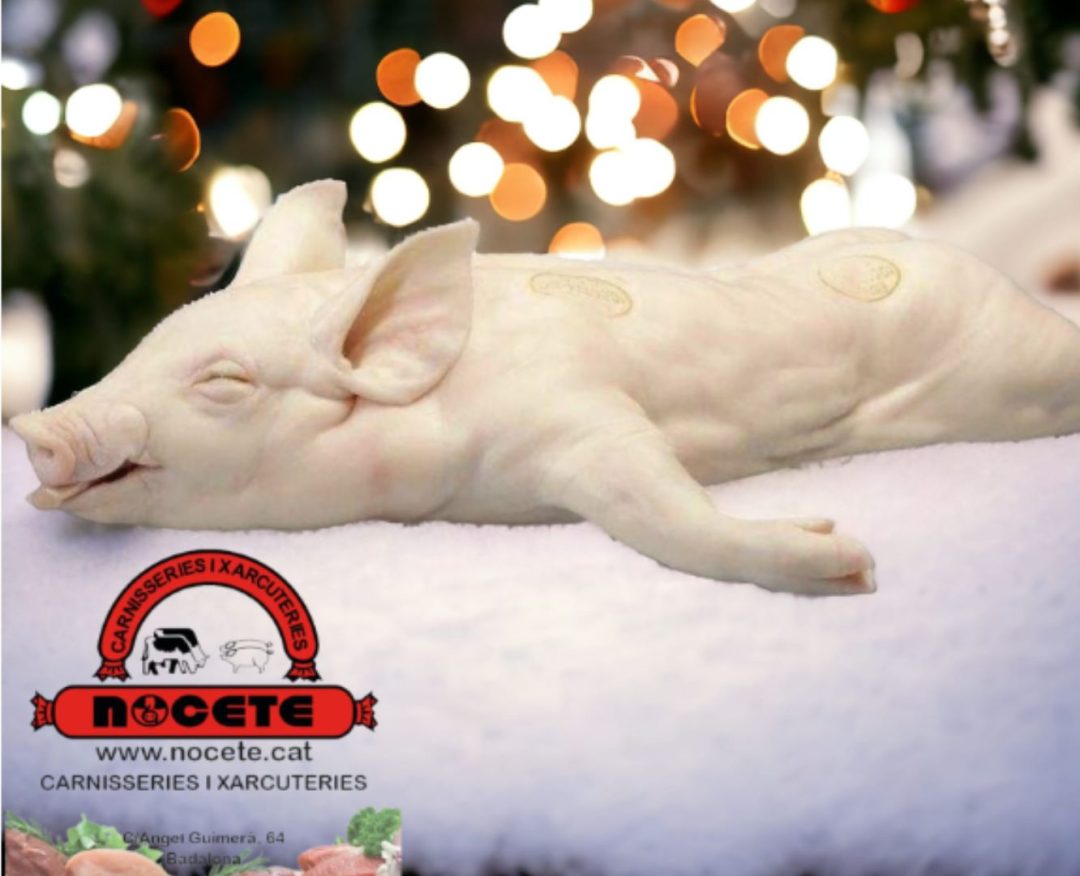 GARRI FRESC DE 3,5 KGS. A 6 KGS.