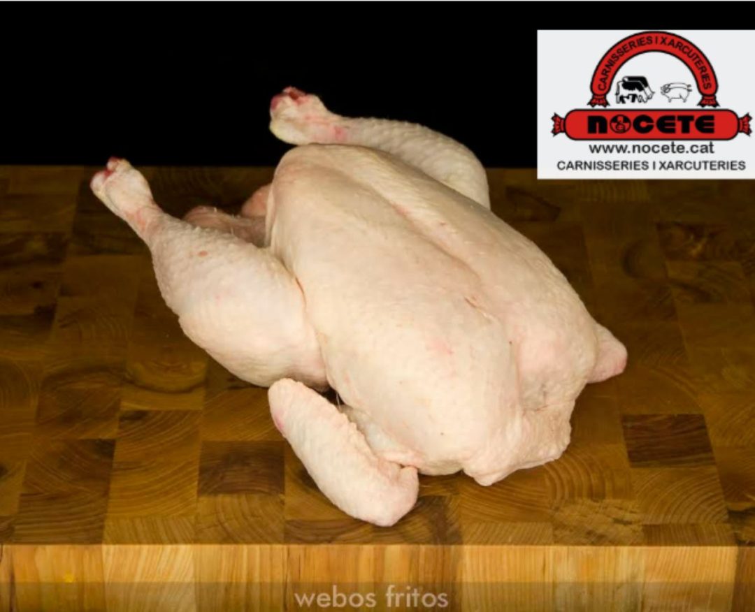 POLLASTRE SENCER D´APROXIMADAMENT 2 A 3 QUILOS